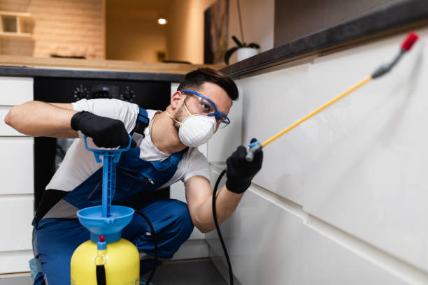 Best Pest Prevention Services  in Cold Spring, MN