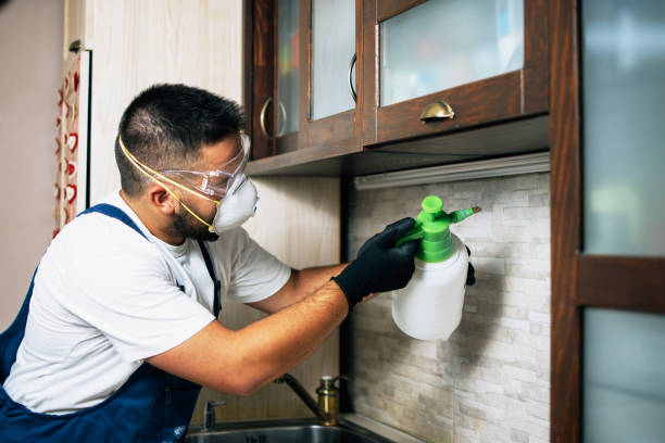 Best Residential Pest Control  in Cold Spring, MN