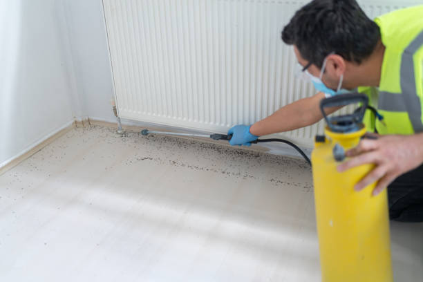 Best Pest Control Cost  in Cold Spring, MN